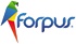 Forpus