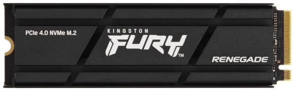 Fury Renegade 1TB SFYRSK/ 1000G