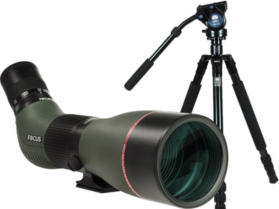 Optimum ED 20-60x85 Sirui R2004/ VH10