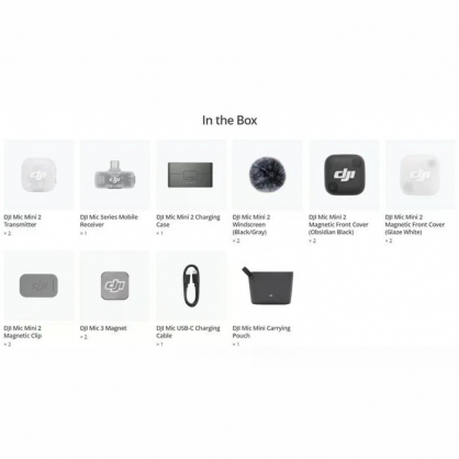 MIC MINI 2 2TX+1MRX +CASE ( CP.RN.00000532 )