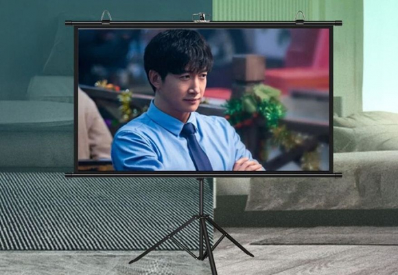 BW-VS12 120"