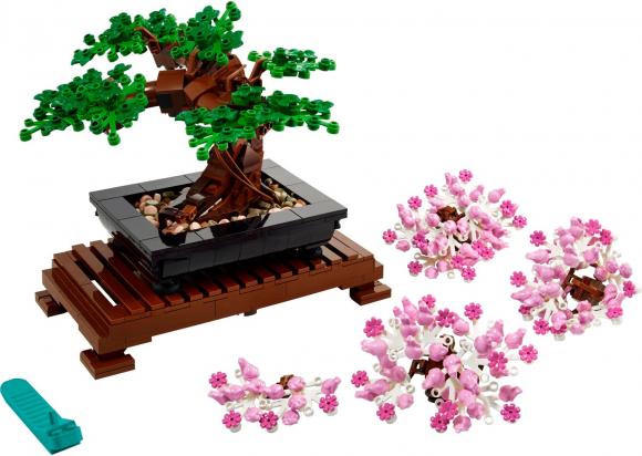 Bonsai Tree 10281