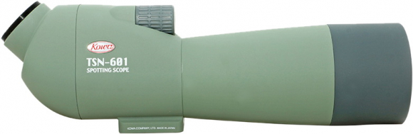 TSN-601