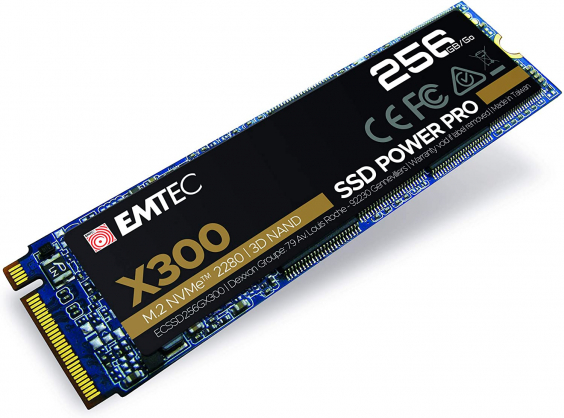 X300 256GB M.2 ECSSD256GX300