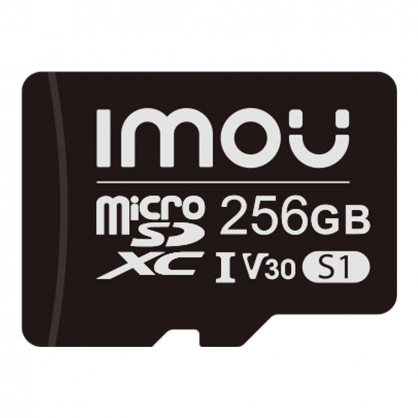 S1 MicroSDXC 256 GB Class 10 UHS-I/ U3 V30 (ST2-256-S1)