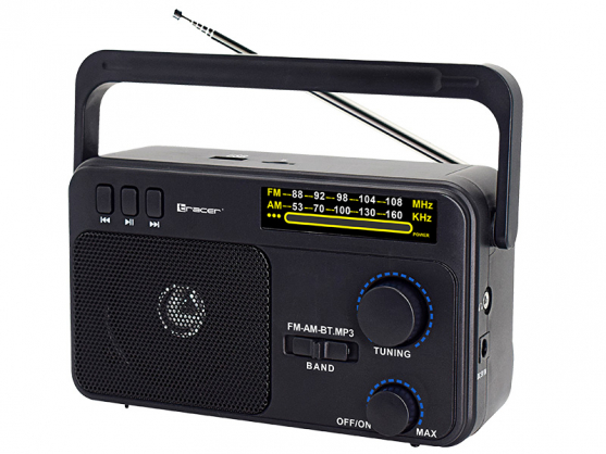 47775 GTX100 Radio FM