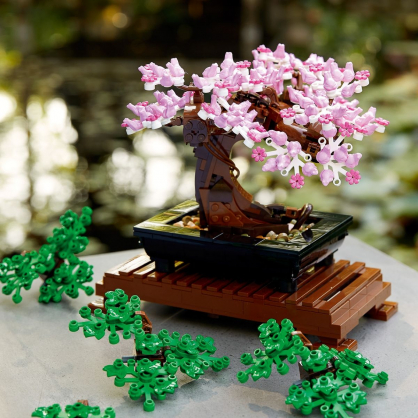 Bonsai Tree 10281