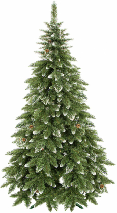 CT0077 180cm