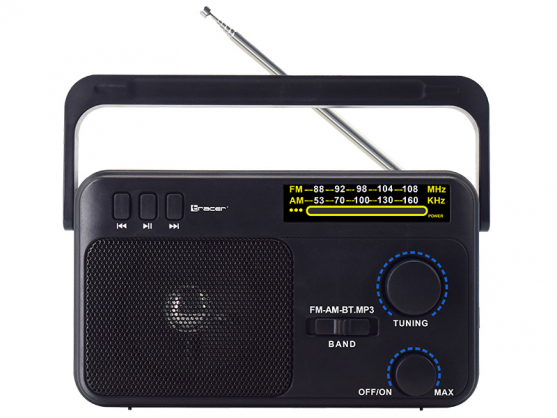 47775 GTX100 Radio FM