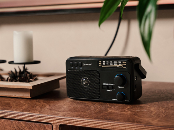 47775 GTX100 Radio FM