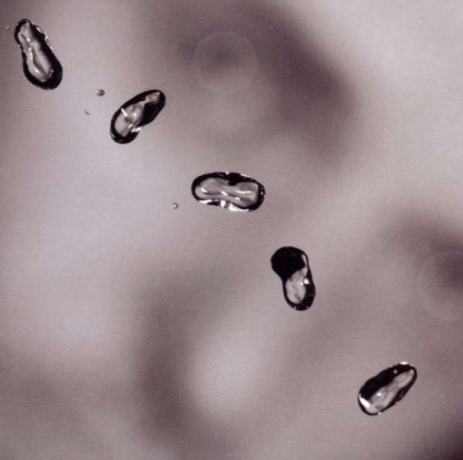 PETER GABRIEL "Up"