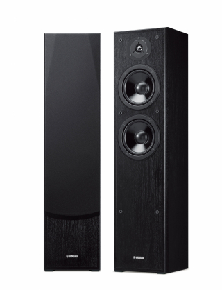 NS-F51 (pair)