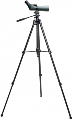 Outdoor 20-60X60 + Tripod WF3950
