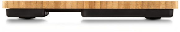 1066308 Bamboo