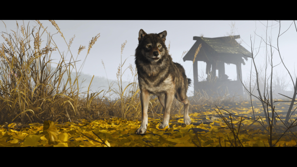 Ghost of Yotei Collector®s Edition PS5