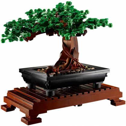 Bonsai Tree 10281