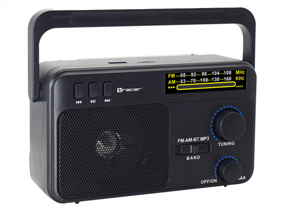 47775 GTX100 Radio FM