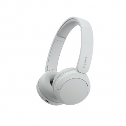 WH-CH520 White