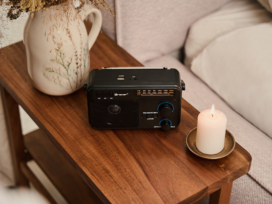 47775 GTX100 Radio FM
