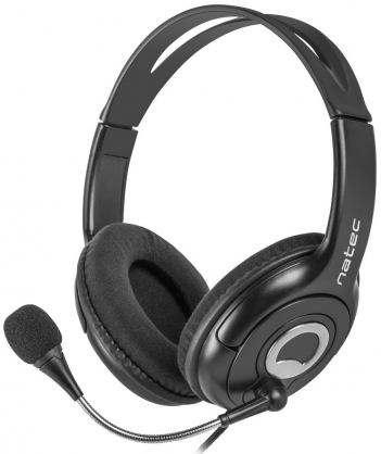 Bear 2 Black