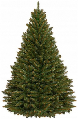 CT0081 180cm