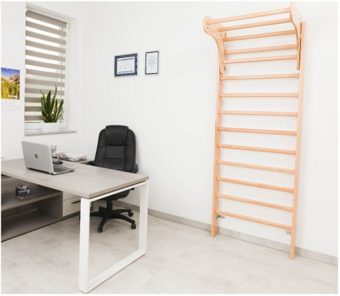 Pull-Up Bar for Wall Bars Directline 65 cm