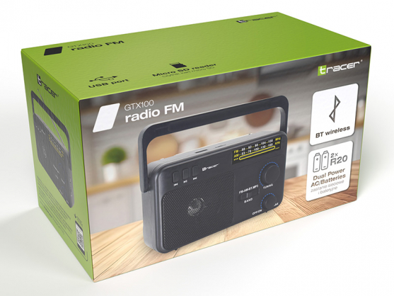 47775 GTX100 Radio FM