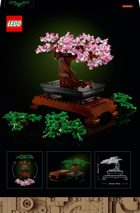 Bonsai Tree 10281