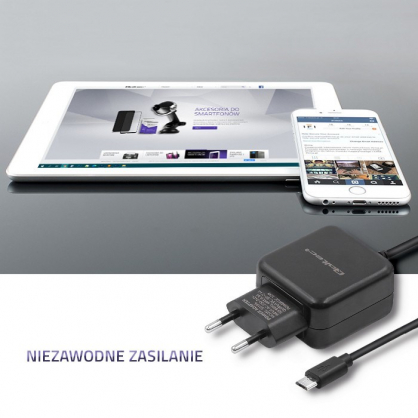 50196 12W 5V 2.4A Micro USB Black