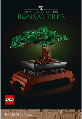 Bonsai Tree 10281