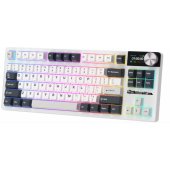 RK-S85 White Night Beige Switches (EN)