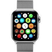 Mesh Apple Watch 42mm Silver