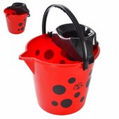 12L Coccinella