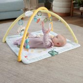 Sensimals Simply Senses Newborn Gym Baby Activity Mat