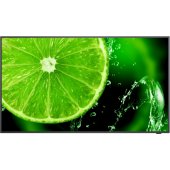 MultiSync E438 42.5" IPS 16:9