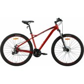 29" TN-90 DD frame-18" Red/ Black 2024