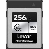 LCXEXSL256G-RNENG Silver