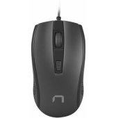 Hoopoe 2 Black