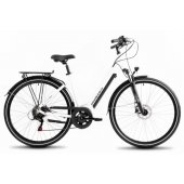 Electric bike ProEco Wave AN 1.0 R 504Wh 19" white-black