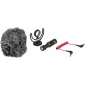 VideoMicro