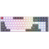 RK100 White-Grey (US)