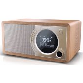 DR-450 Brown