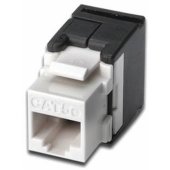 DN-93502 CAT5e Module