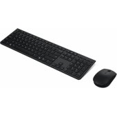 Professional Wireless Rechargeable Combo (US)