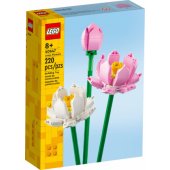 Lotus Flowers 40647