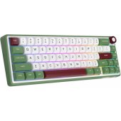 R65 Green Blue Switch (EN)