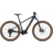 Talon E+ (2026) 29" Asphalt Green (M)