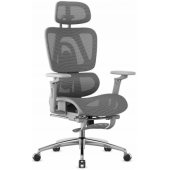 Expert 7.9 Grey