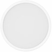 Smart Ceiling Light D30 BHR9934GL