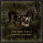 JETHRO TULL "Curious Ruminant" CD
